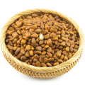 Premium Quality Chilgoza Pine Nut Kernels Shelling